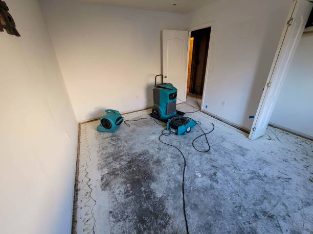 Best Water damage contractors near me  in Harlowton, MT